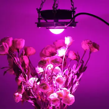 300W COB LED Cresterea Plantelor Lumina Pentru Plante cu Flori de Interior cu efect de Seră Hidroponică Spectru Complet CONDUS în Creștere Lampa de Interior Plante Cresc