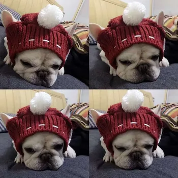Drăguț Câine Pălărie Tricotate Confortabile Tesatura Elastica Accesorii Câine Coreean Bufanda Y Gorro De Navidad Para Perros
